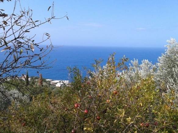 Pogled na more kroz zelenilo sa placa u Reževićima, Budva