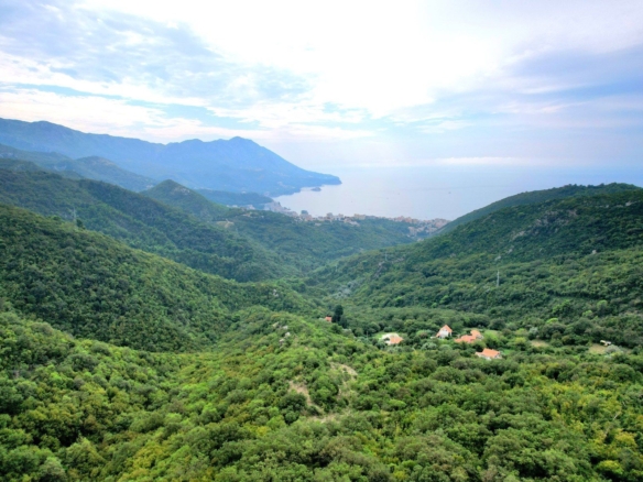 Zemljiste 20000m2 Markovici,Budva