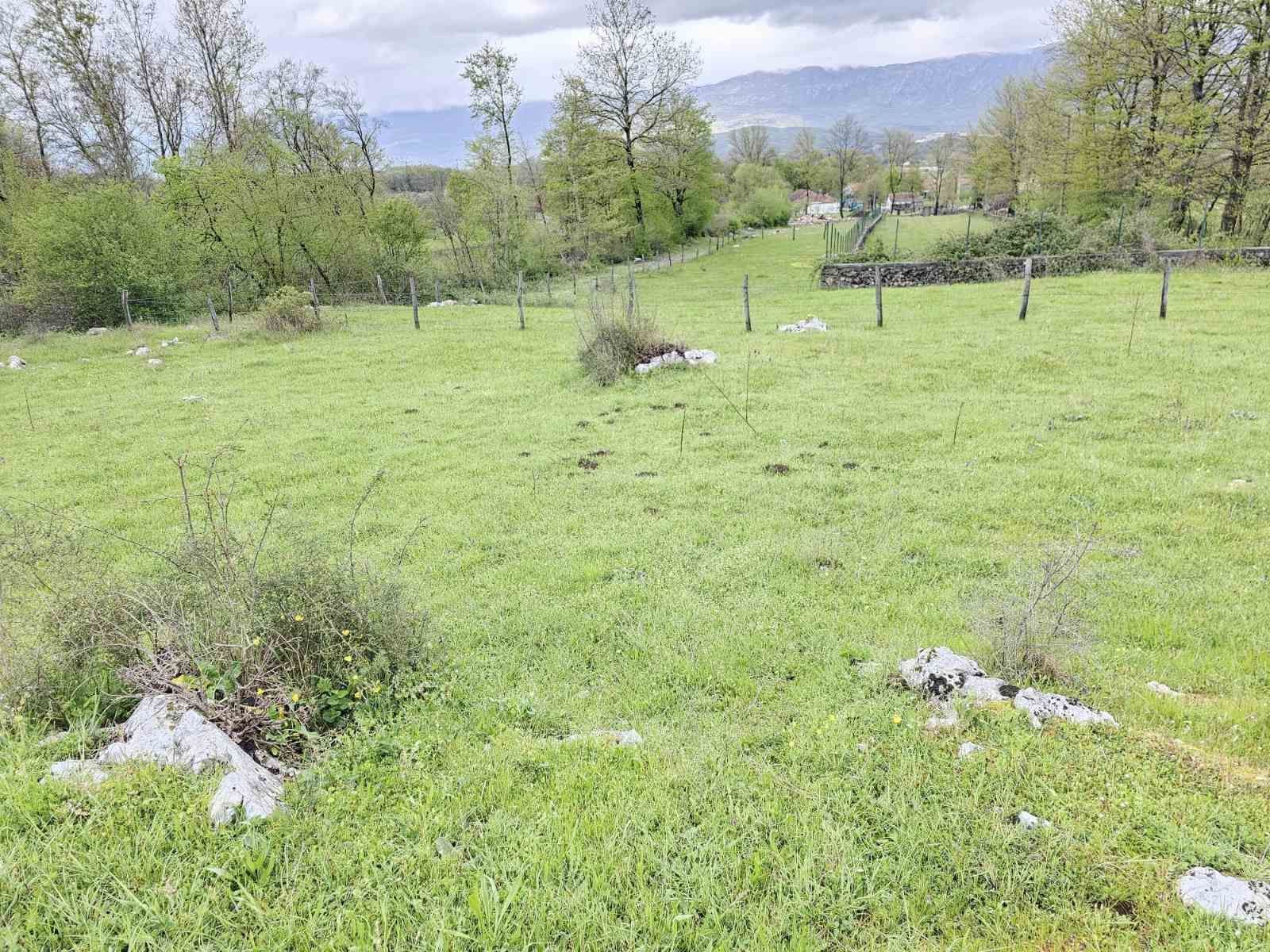 f6d01326-f57f-487f-962f-d015647f851b Plac u Novom Selu, Danilovgrad — fotografija 2