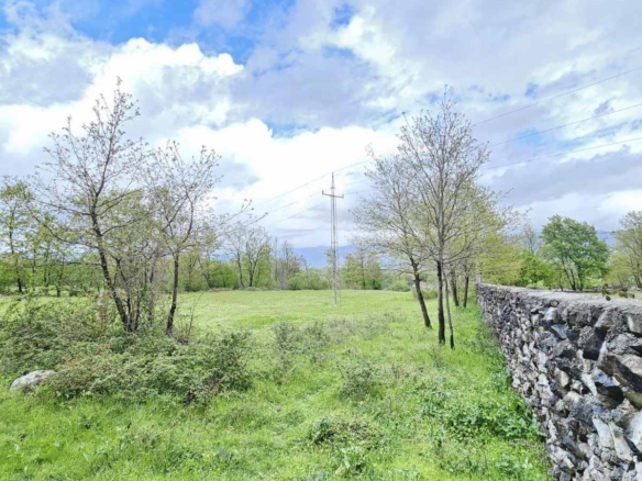 Plac u Novom Selu, Danilovgrad — fotografija 3