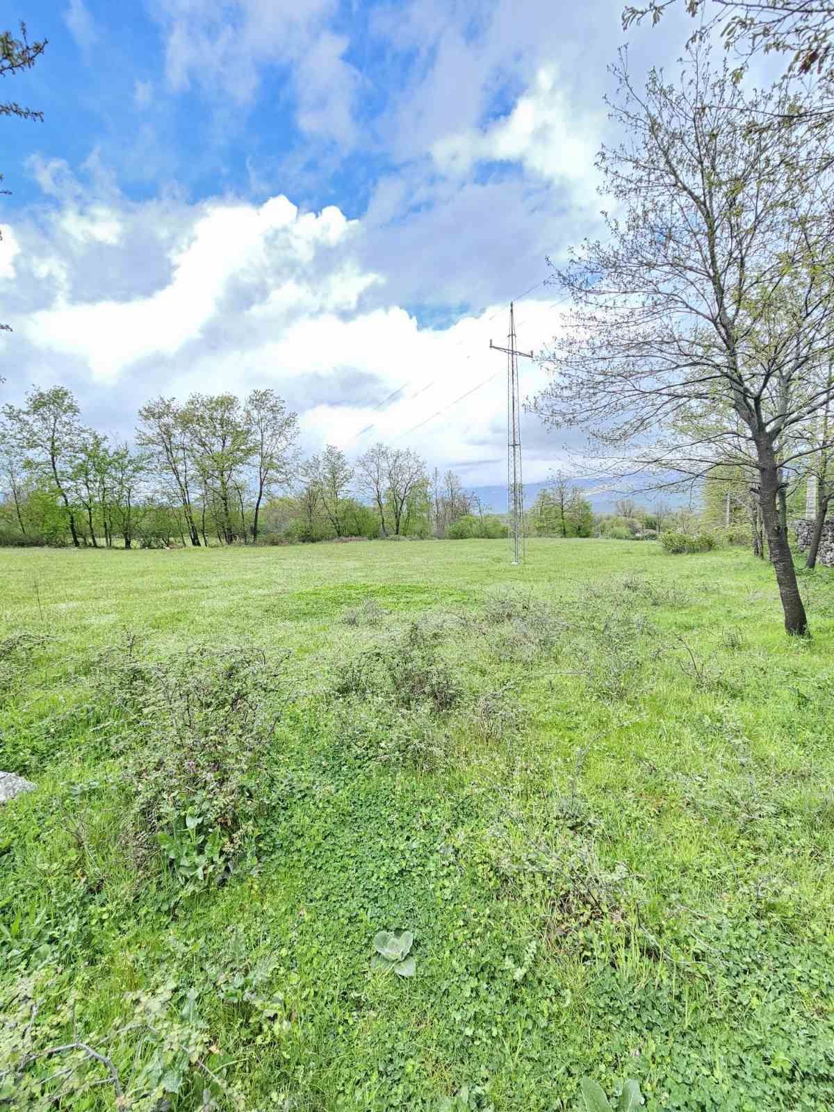 05080f53-3ae1-4e77-9ab9-e76d8163821c Plac u Novom Selu, Danilovgrad — fotografija 8