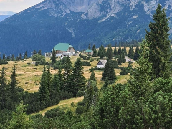 Plac sa pogledom na planine u Bosačama, Žabljak — fotografija 3