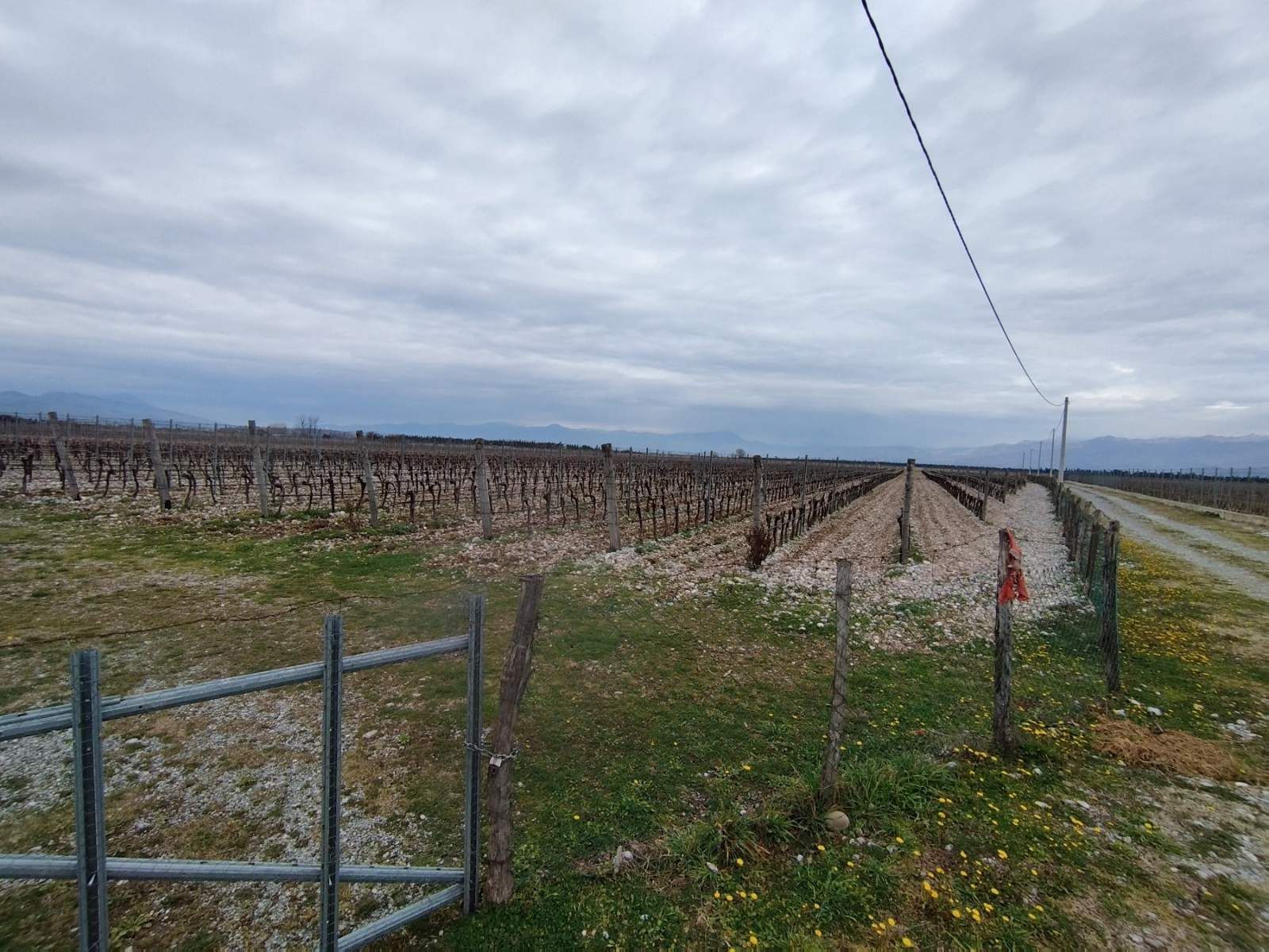 2f3961ff-c82e-4ef3-b304-48d3b0602f71 Plac sa vinogradom i kućom, Podgorica — fotografija 2