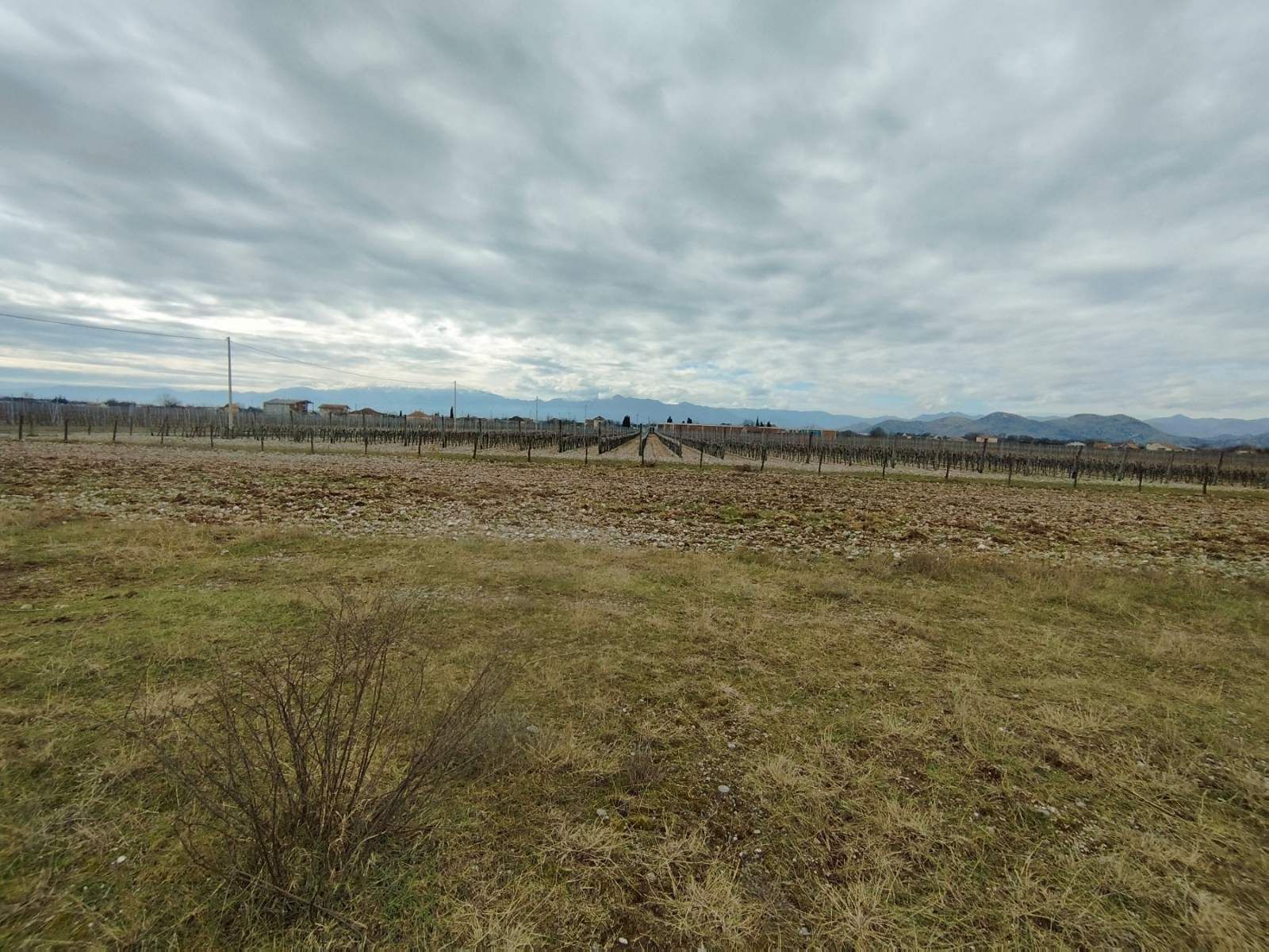 c481cc85-f5f3-42b4-a7af-127bec2f1118 Plac sa vinogradom i kućom, Podgorica — fotografija 4