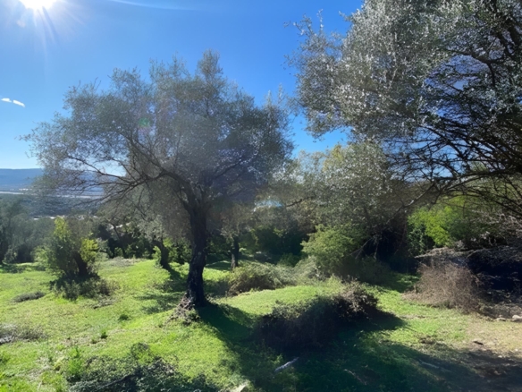 Plac sa pogledom na more 1258m2 Tivat-Mrcevac
