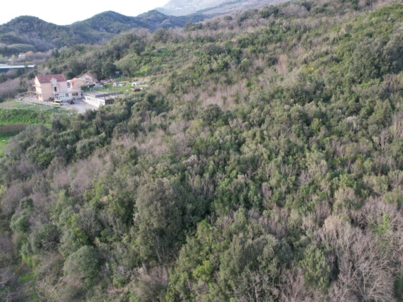 Urbanizovani plac uz magistralni put u Radanovićima, Kotor — fotografija 6