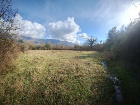 Urbanizovan plac 2976m2 Ljesevici,Kotor