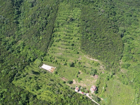 Plac 83.000 m² – Radanovići, Kotor — fotografija 4