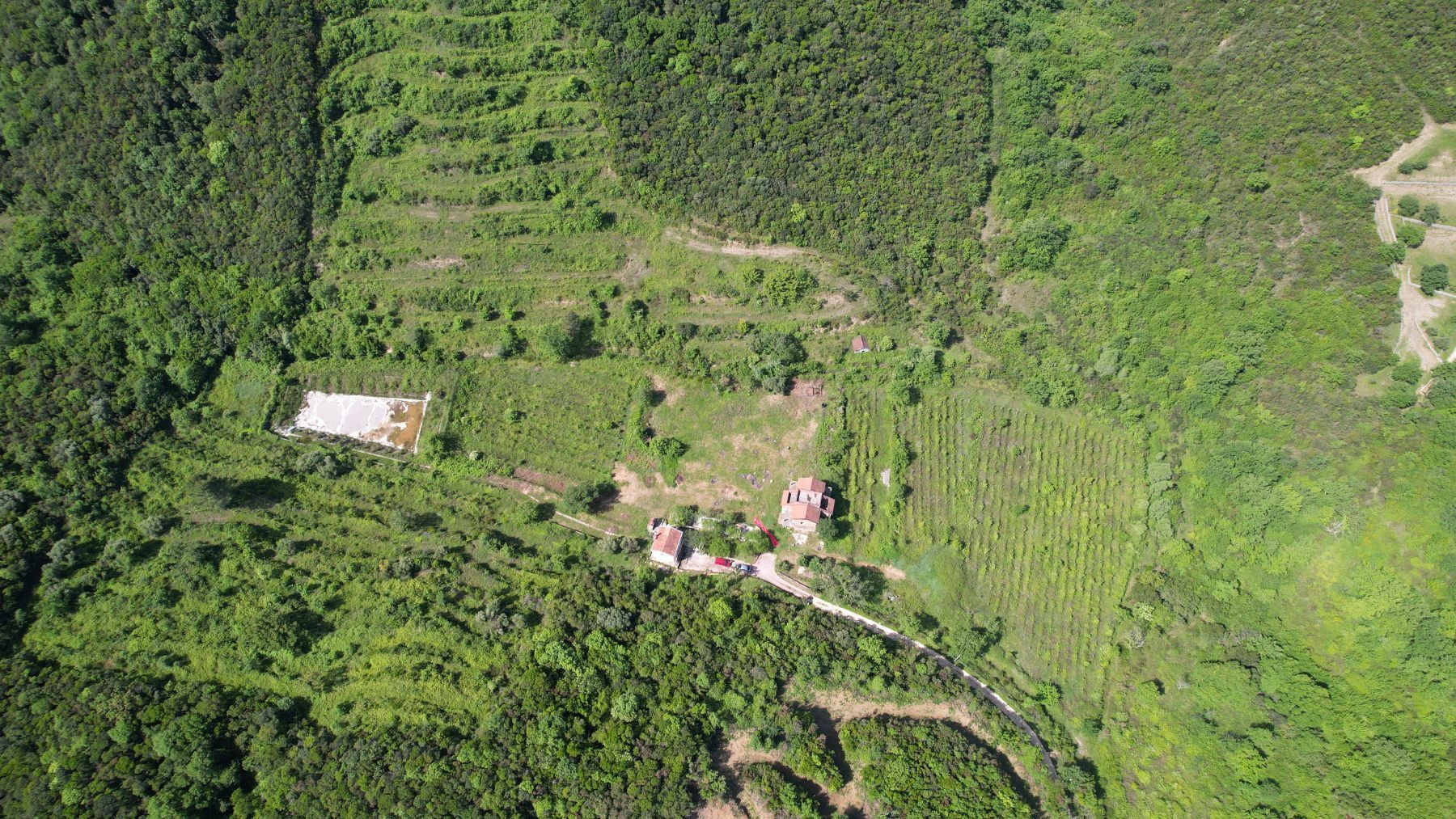 a6e9e228-d9a2-4373-a8f5-d59d4c94c1d0 Plac 83.000 m² – Radanovići, Kotor — fotografija 8