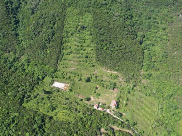 Plac 83.000 m² – Radanovići, Kotor — fotografija 12