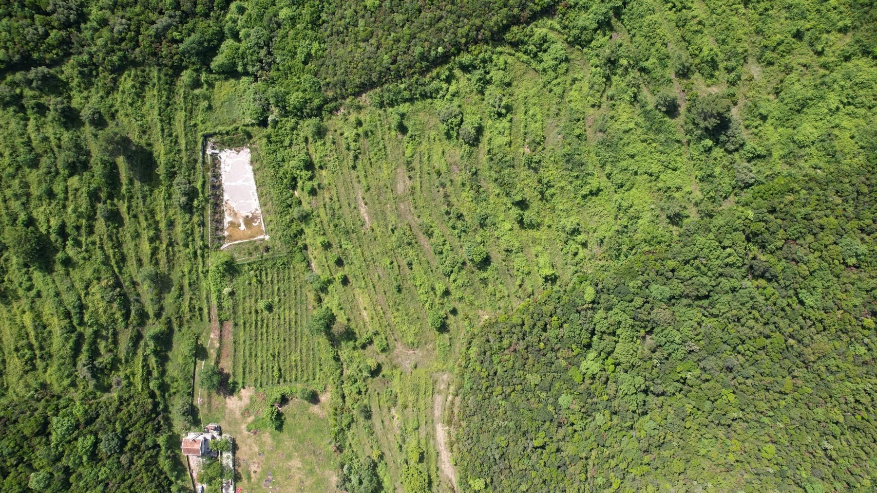 d1e9b126-be3f-4753-9aa5-c168ad5988b1 Plac 83.000 m² – Radanovići, Kotor — fotografija 13