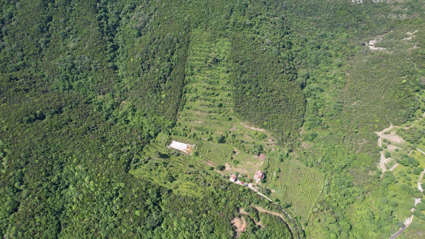 1652c746-c796-4699-b882-144bb8acd9f5 Plac 83.000 m² – Radanovići, Kotor — fotografija 14