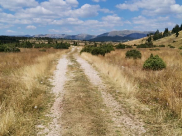 Plac od 36.000 m² kod Žabljaka uz magistralni put — fotografija 3