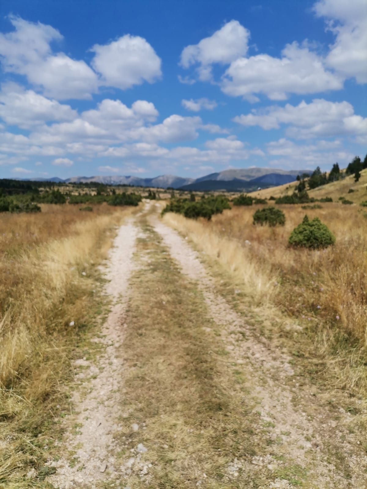 Plac od 36.000 m² kod Žabljaka uz magistralni put — fotografija 3