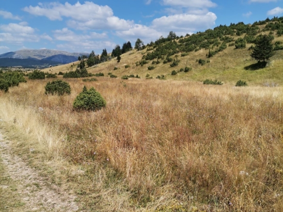 Plac od 36.000 m² kod Žabljaka uz magistralni put — fotografija 4
