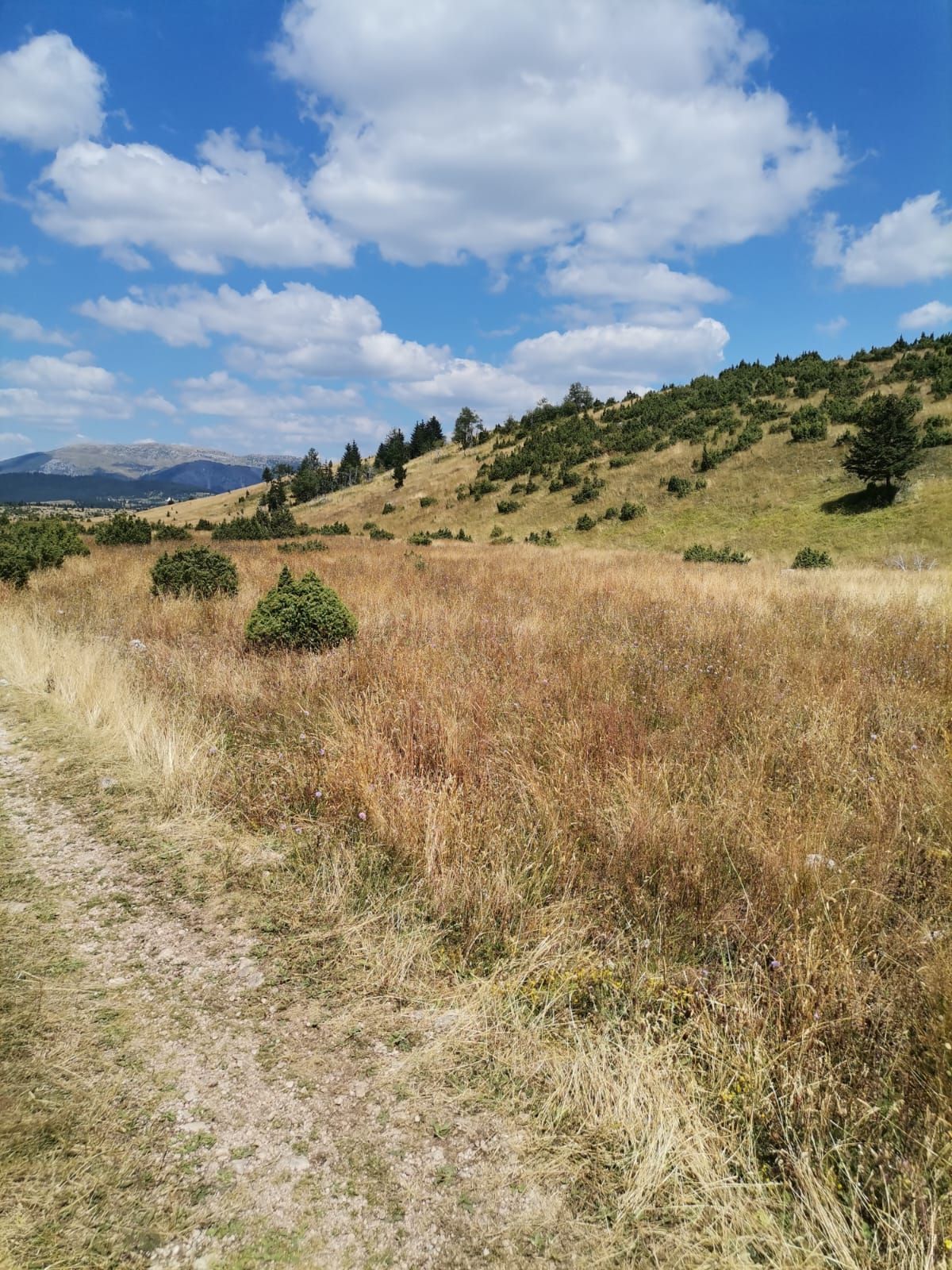 Plac od 36.000 m² kod Žabljaka uz magistralni put — fotografija 4