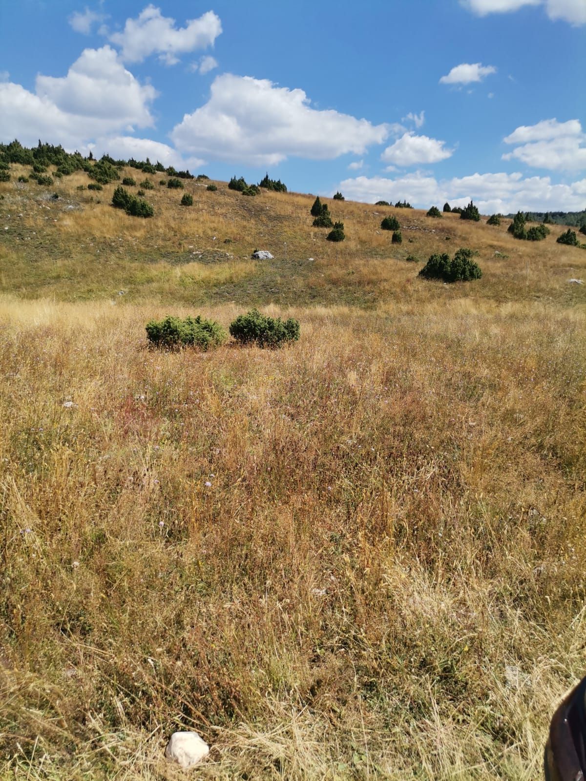 Plac od 36.000 m² kod Žabljaka uz magistralni put — fotografija 6