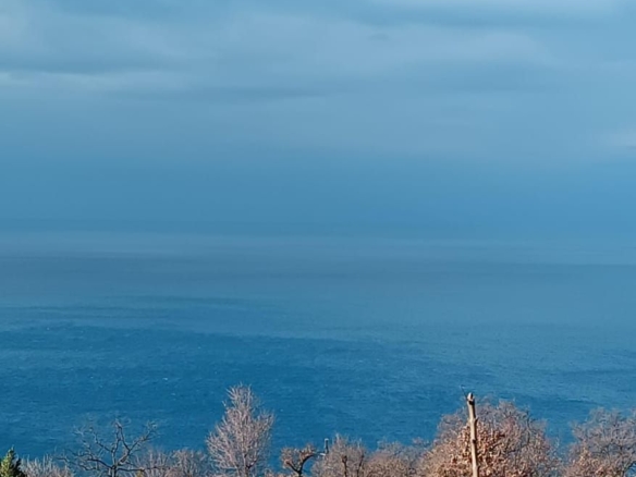 Neurbanizovano zemljiste za prodaju 740m² sa pogledom na more, Blizikuće, Budva