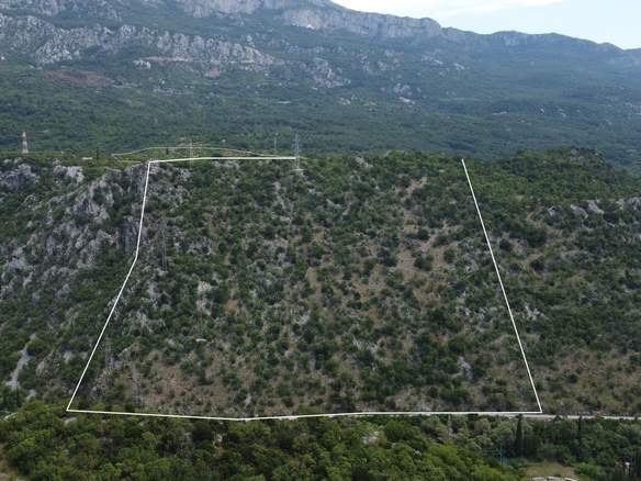 Imanje sa kućom i livadama u selu Pločice, Podgorica — fotografija 2