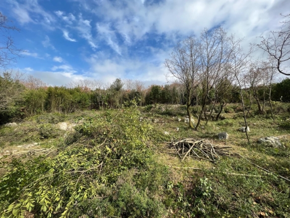 Plac 2.488 m² – Krimovica, Kotor — fotografija 2