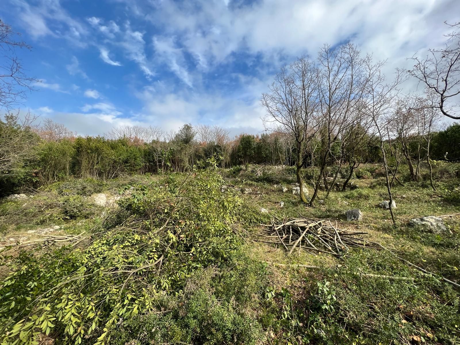 d84f004b-ea3a-40c4-a0e7-805e5d77cbcb Plac 2.488 m² – Krimovica, Kotor — fotografija 2