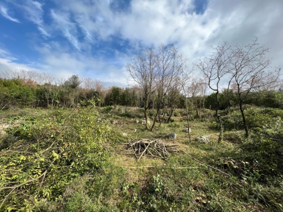 Plac 2.488 m² – Krimovica, Kotor — fotografija 3