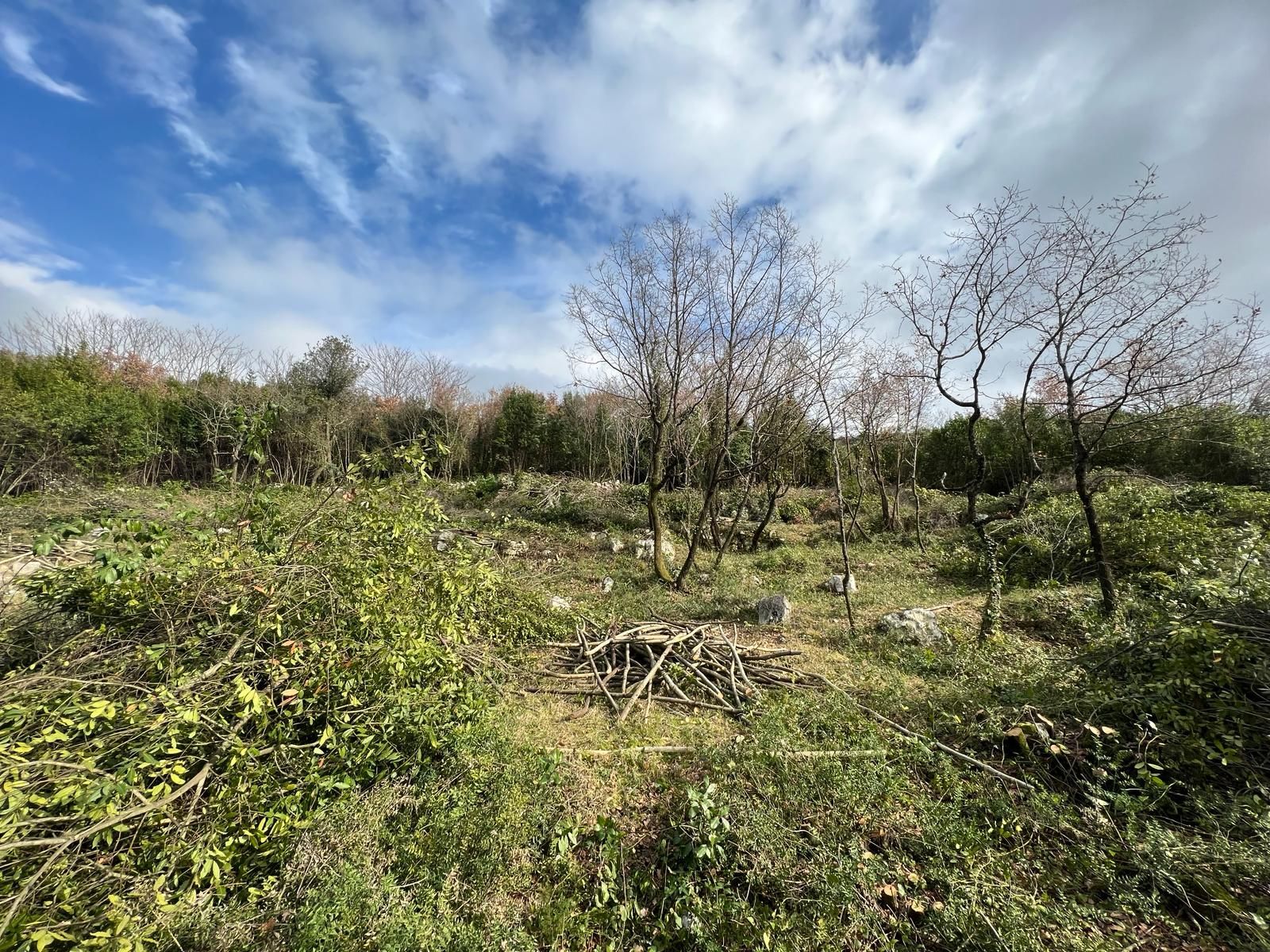 cc27f555-10f4-41ad-a12f-40b691d3517e Plac 2.488 m² – Krimovica, Kotor — fotografija 3