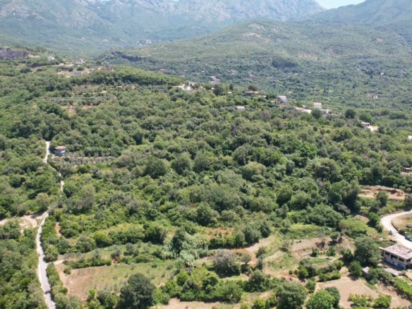 Urbanizovan plac u Radanovićima, Kotor — fotografija 15
