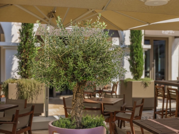 Garsonjera 39 m² – Tivat — fotografija 4
