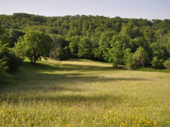 Prodaja urbanizovanog zemljišta 45.000 m² u Kolašinu