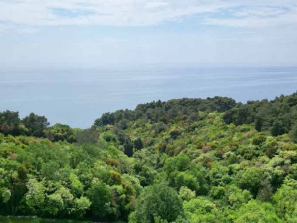Plac 22.800 m² – Ulcinj — fotografija 5