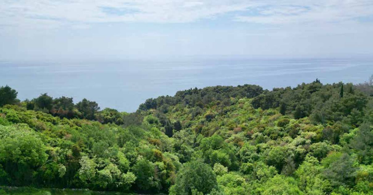 Plac 22.800 m² – Ulcinj — fotografija 5