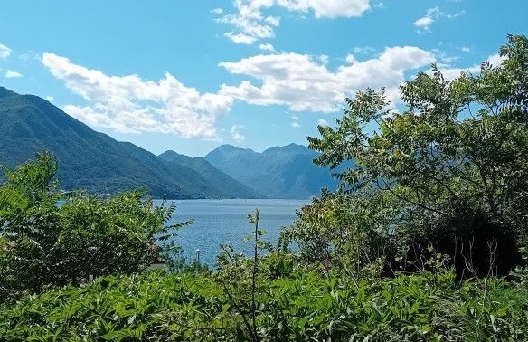 Plac 727 m² – Dobrota, Kotor — fotografija 3