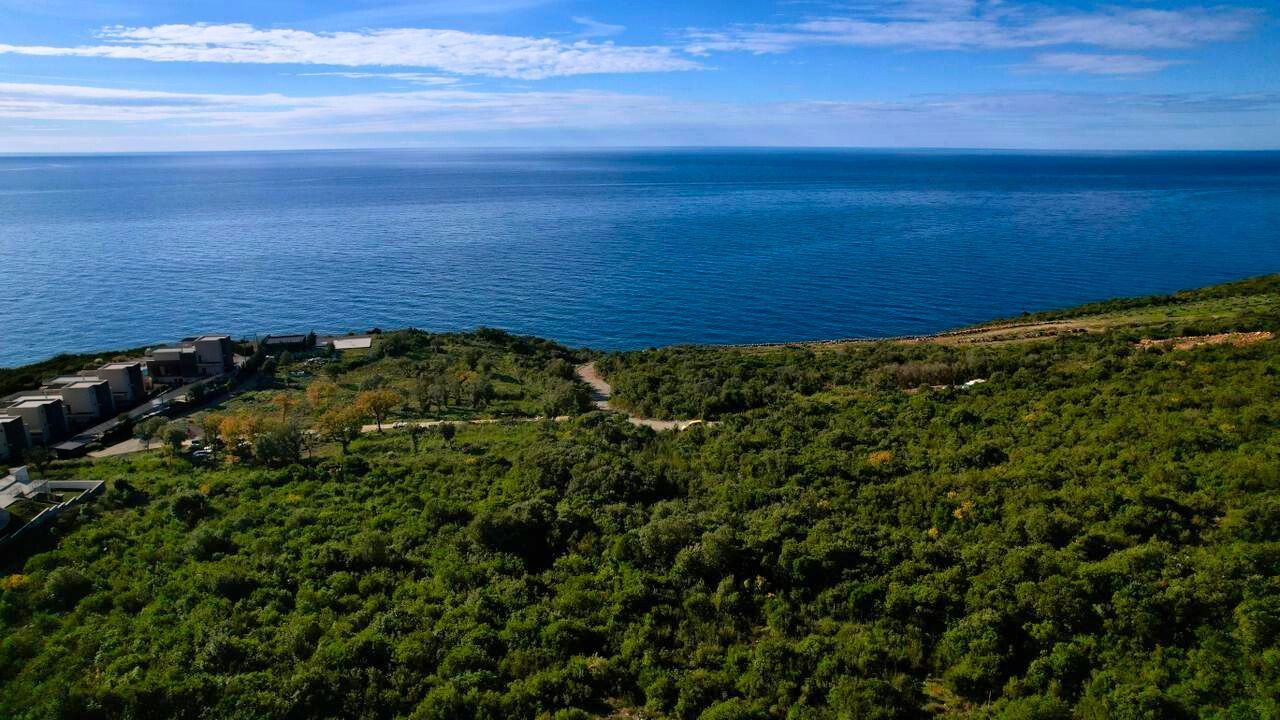 9019e0fb-96a0-4094-baed-de1f60779c12 Plac 1.000 m² – Krimovica, Kotor — fotografija 8
