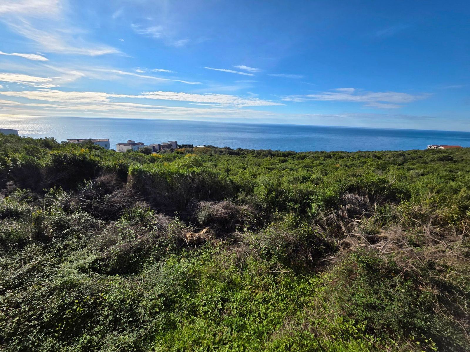 824cd737-a3f2-4000-a0ed-a4b3e5bffa66 Plac 1.000 m² – Krimovica, Kotor — fotografija 9