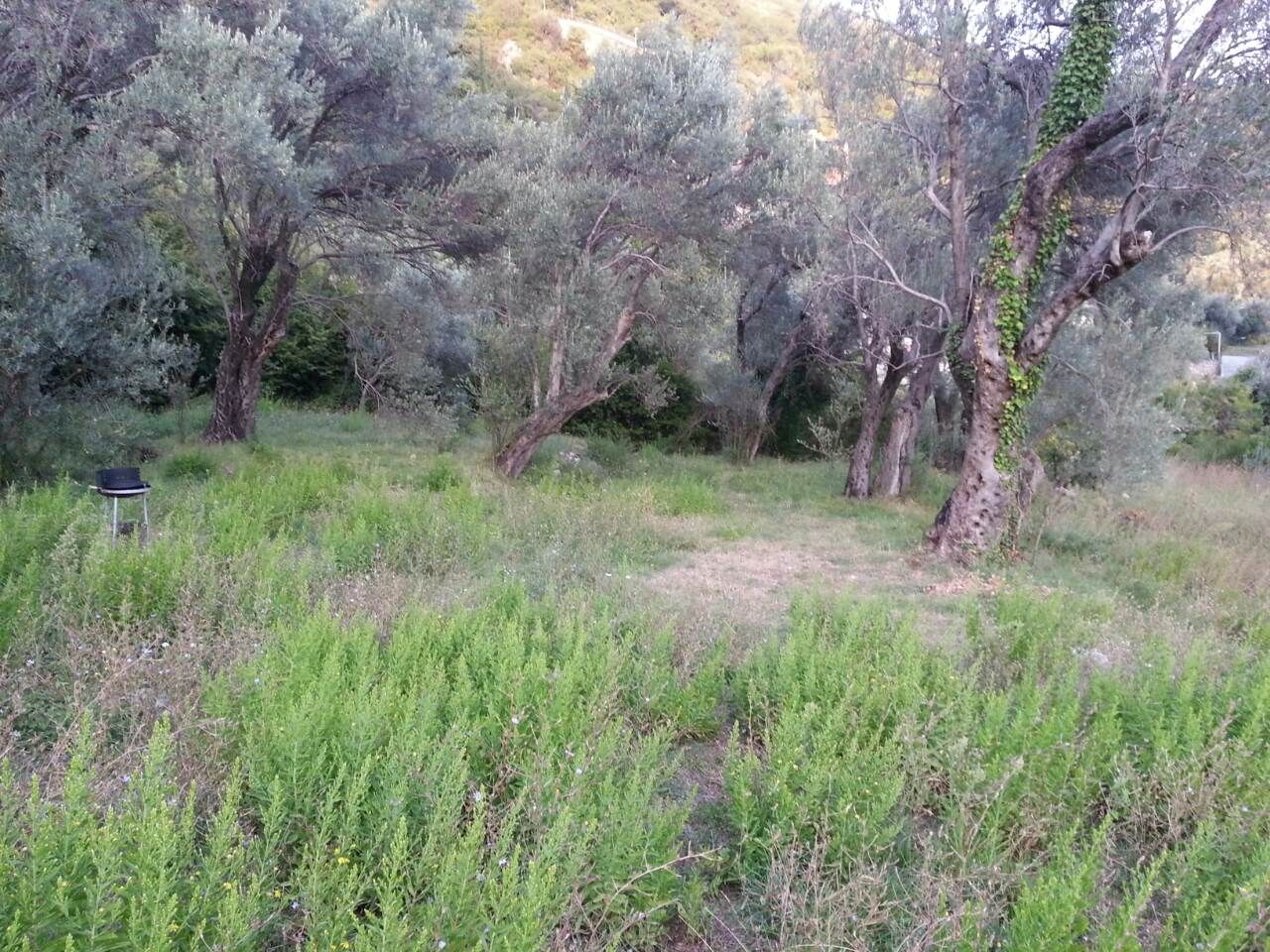 1654622924-viber_slika_2022-06-07_17-50-44-581 Građevinski plac sa pogledom na more, Petrovac, Budva — fotografija 3