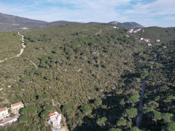 Urbanizovani plac u Mirištu, Herceg Novi — fotografija 5