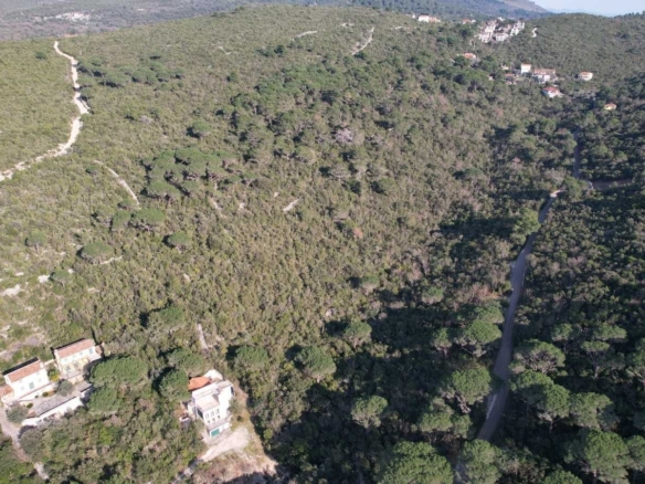 Urbanizovani plac u Mirištu, Herceg Novi — fotografija 13