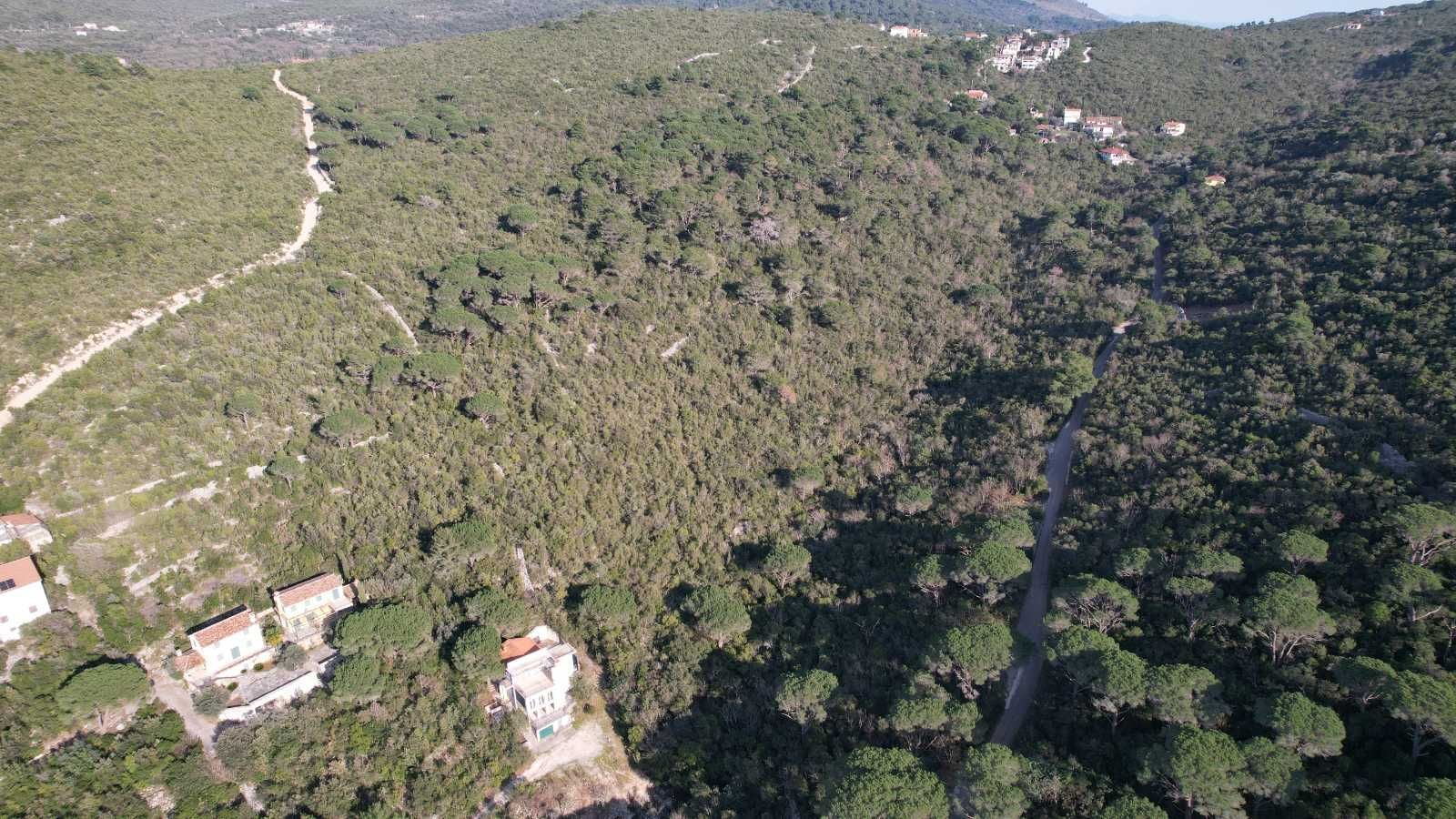 Urbanizovani plac u Mirištu, Herceg Novi — fotografija 13