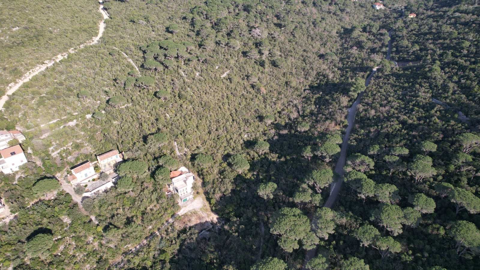 Urbanizovani plac u Mirištu, Herceg Novi — fotografija 18