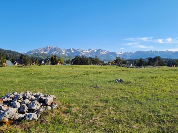 Prodaja zemljista 5000m² -Borje,Zabljak