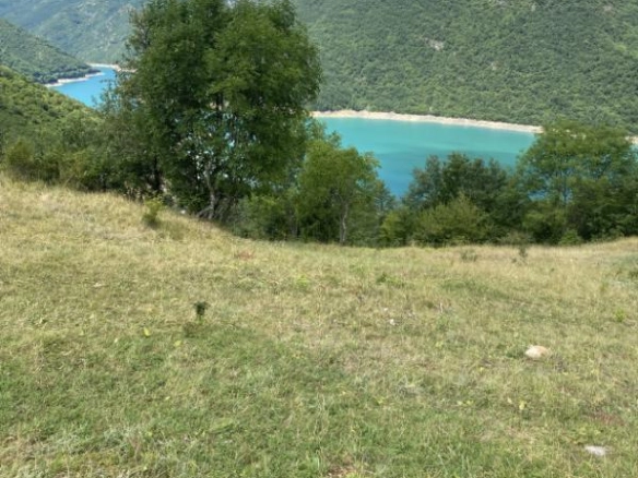Plac sa pogledom na jezero u Plužinama
