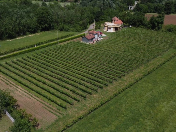 Vinograd sa vinarijom u dolini Zete