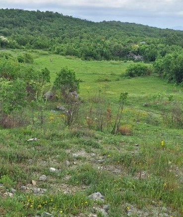 Plac površine 12650 m² kod Podgorice