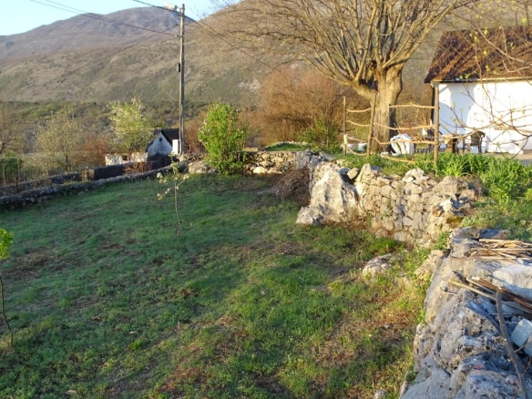 Danilovgrad