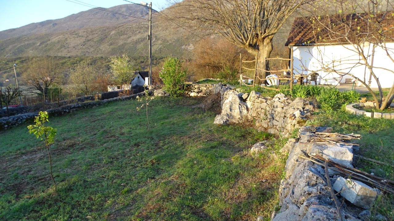 Danilovgrad
