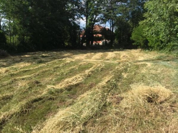 Plac u Mojanovićima