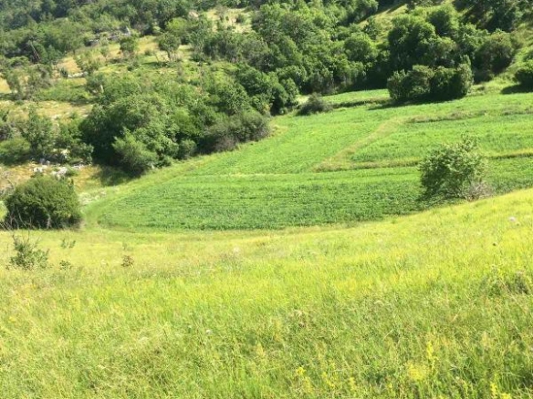 Plac sa kućom u Ubinama