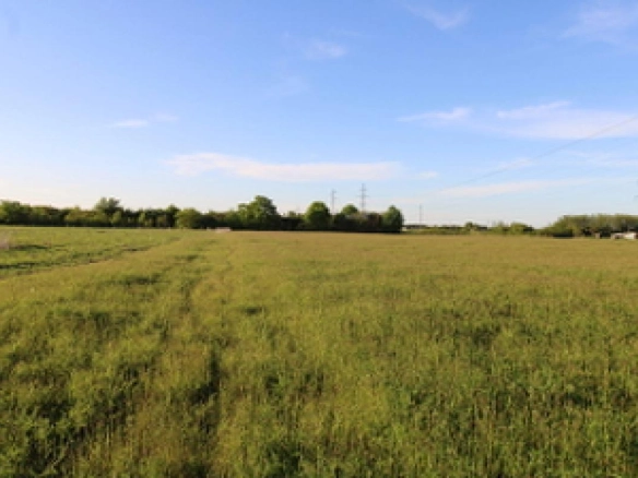 Plac od 8000 m² kod Danilovgrada