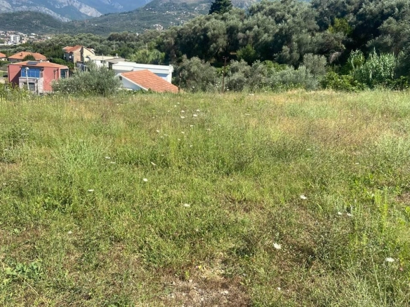 Plac sa maslinama u naselju Tomba